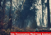 合肥职业学院校园悲剧，究竟何因引发血案？真相究竟如何？