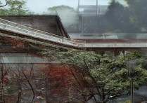 浙江工商大学湖南录取情况如何？历年录取分数线及专业选择疑问解答