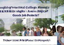 广东职业学院金融专业怎么样，就业前景好吗？