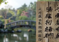 此地无银三百两打一成语