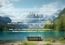 观后感100字