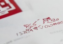 临沂大学网上录取图片长什么样，2024录取通知书怎么查