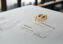 上海纽约大学录取通知什么时候发？2026 年上海纽约大学录取通知书查询