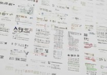 青海大学各专业录取位次一般为多少？|青海大学专业分数线