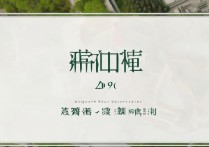 青岛大学 2019 录取？青岛大学 2019 年录取分数线是多少
