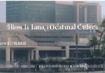 李沧职业学院怎么样？李沧职业学院招生简章及地址