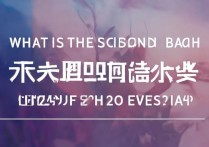 贵州大学二批录取分数线是多少，什么时候出录取结果