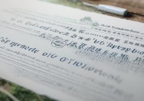 集美大学录取查询时间是什么时候？集美大学录取查询时间