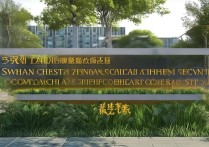 四川的大学录取什么时候开始，四川高考录取分数线查询