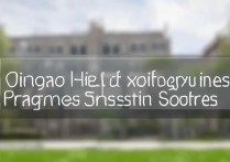 青岛大学小语种录取分数线是多少，多少分能考上？