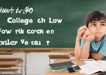 高考低分是否还有机会上理想大学？揭秘升学途径与策略！