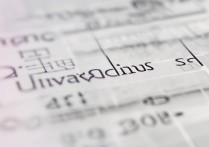 沈阳大学艺术录取分数线是多少，最低多少分能上