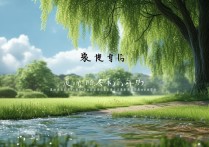 六字成语