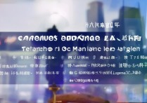 上海专科学校综合排名前十是哪些？ | 2024上海专科院校榜单