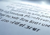 沈阳城市学院美术录取分数线是多少，最低多少分能上