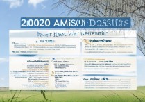 平和双语2020录取成绩怎么样？藤校牛剑录取多少人？