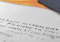 2017鲁山一高录取分数线