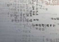 河北八大员分数线