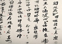 籽成语