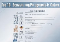 西班牙语专业专科排名揭晓，国内前十大学是哪些？真相揭秘！