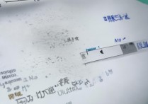 沧州师范大学录取查询入口在哪里，录取结果什么时候出来