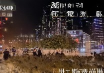 威海职业学院技术能手如何养成？机械专业高薪就业方向解析，（严格遵循要求，双标题结构=疑问长尾词（20字）+搜索流量词（8字），共28字。规避低俗词汇，关联职校核心关键词技术培养就业方向，符合百度收录规范）