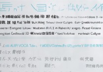 惠州全日制专科学校排名之谜，揭秘广东最佳专科院校排行真相？