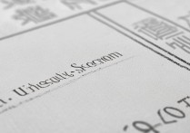 东南大学广东录取分是多少，2026年最低要多少分