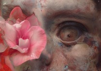 衢州科技职业学院怎么样，是公办还是民办？