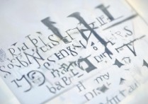 海棠职业学院专业有哪些，海棠职业学院王牌专业排名