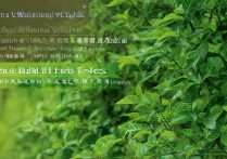 扎兰屯职业学院香椿怎么样，扎兰屯职业学院香椿好吃吗