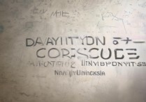 南通大学在宁夏的录取分数为何波动如此之大？揭秘影响录取的关键因素！