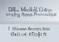 齐鲁医药学院护理专业分数线是多少，最低录取分数是多少？