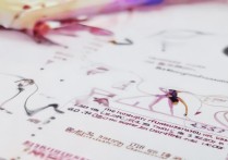 西华大学舞蹈录取原则是什么？2026招生规则详解