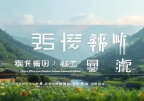 四川本科录取率