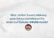 厦门大学录取最低排位是多少，多少分能考上？