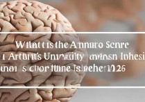 大脑大学录取的分数是多少？大脑大学录取分数线 2026