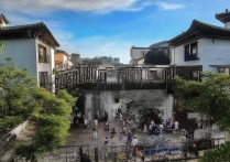 大学录取追踪怎么查？2026高考录取结果查询入口