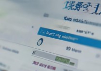 抚顺石油大学录取查询官网在哪，怎么查录取结果？