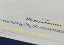 大学录取山东省位次