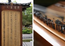 日本古筝专科学校排名榜？日本有种听起来很像古筝的乐器名字？