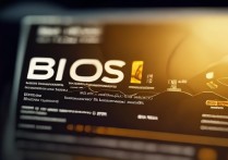 bios 固态