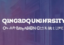 青岛大学山东录取分数线是多少，最低多少分能考上青大