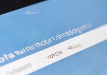 大学录取网上怎么查，录取结果查询入口在哪里