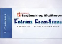 宝鸡高新一中小升初分数线是多少，2017年录取分数线是多少？