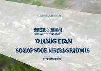 山东职业学院2016春考分数线是多少，录取分数线高吗