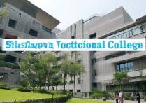 深圳职业学院英文怎么说？深圳职业学院英文名称是什么