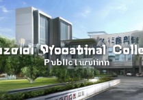 柳州职业学院是公办还是民办，民办大专值得上吗