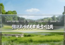 休宁海阳二中分数线是多少？2026年录取分数线预测