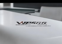 wps365